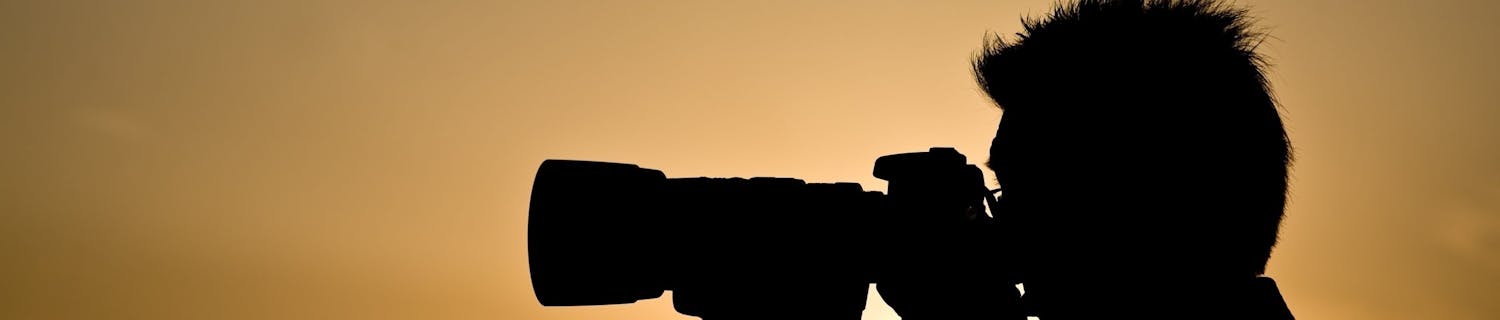 Pöllö istuu kannon nokassa